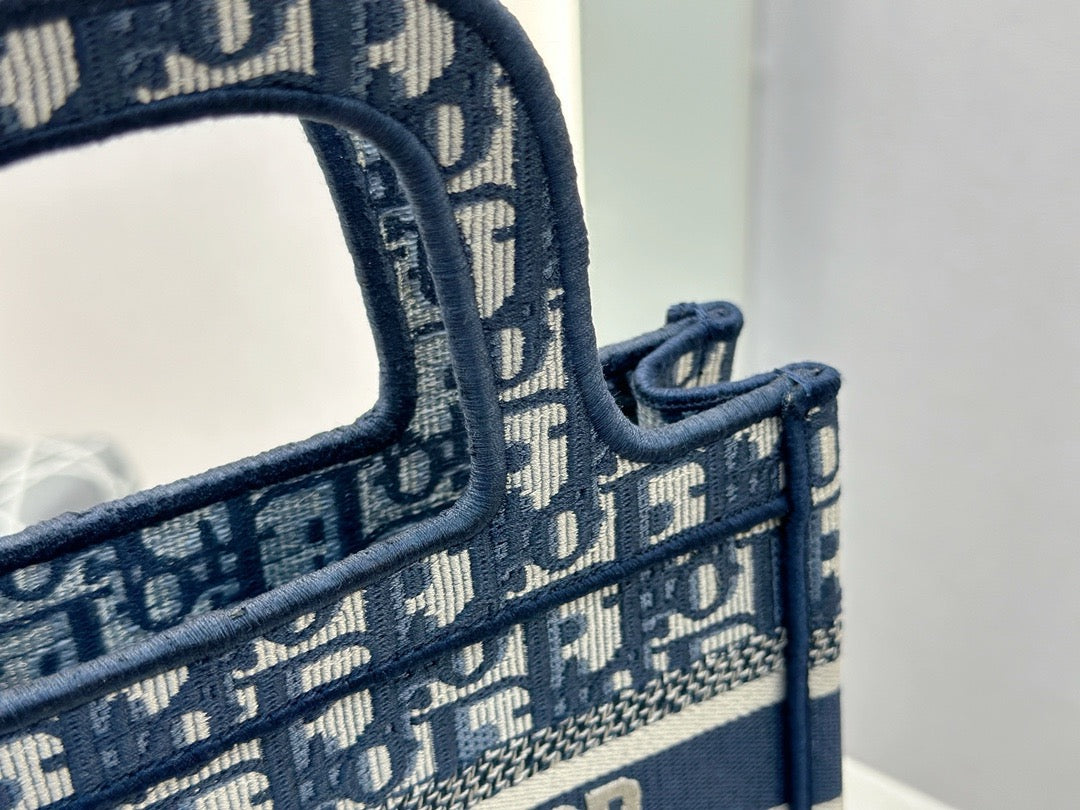 디올 오블리크 북토트백 미니