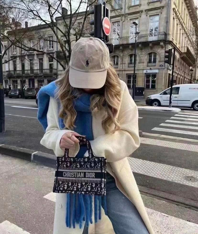 디올 오블리크 북토트백 미니