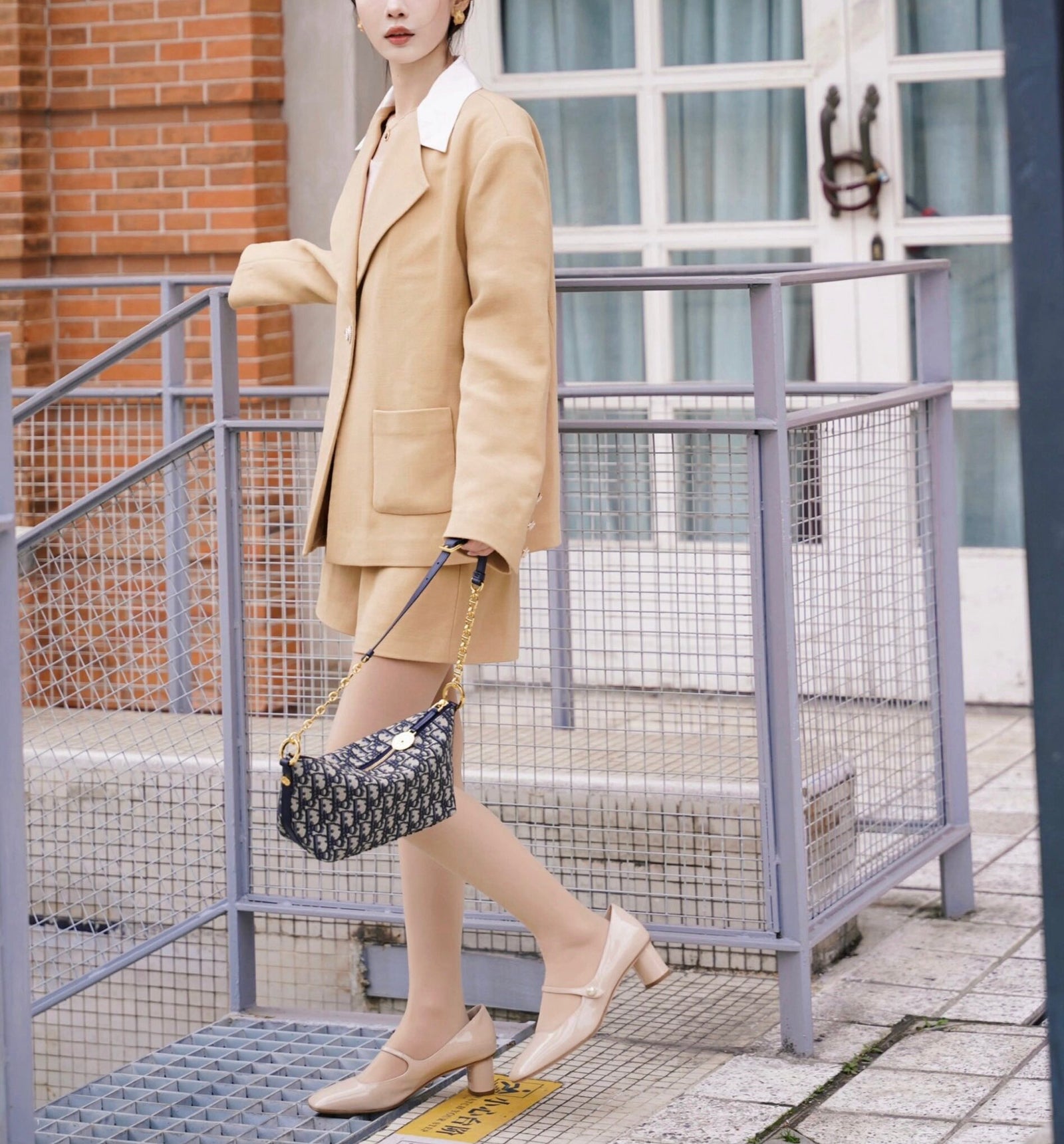 디올 오블리크 스타 체인 호보백