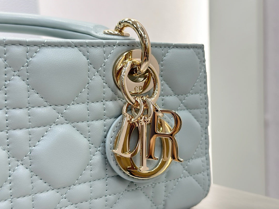 디올 디 조이백 스몰