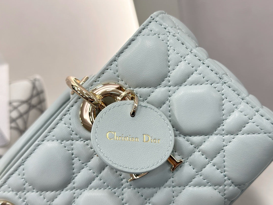 디올 디 조이백 스몰