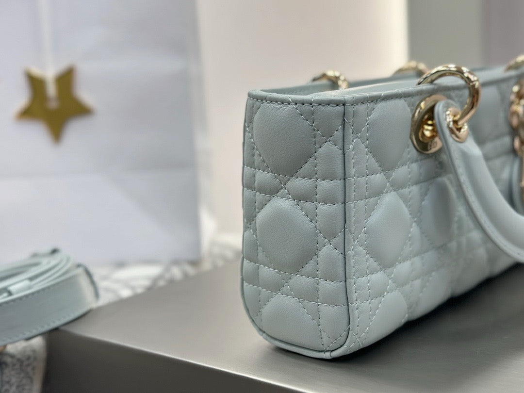 디올 디 조이백 스몰