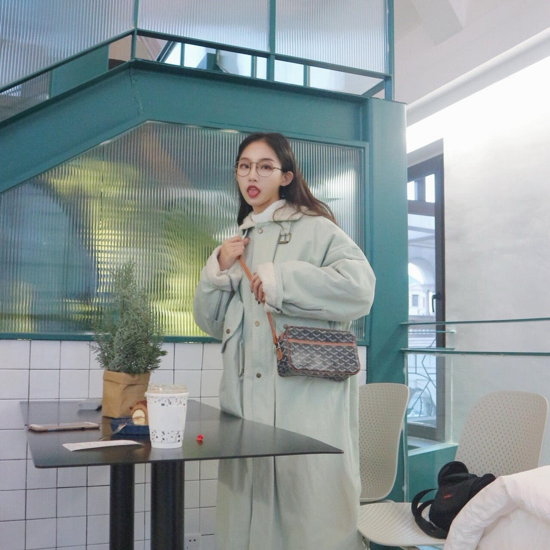 고야드 카페르 크로스백