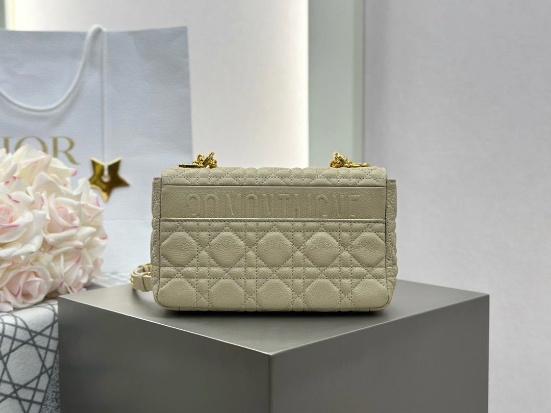 디올 카로백 스몰