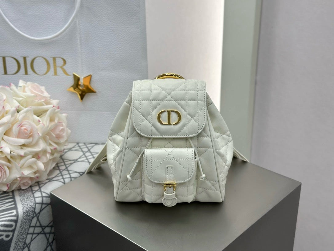 디올 카로 스몰 백팩