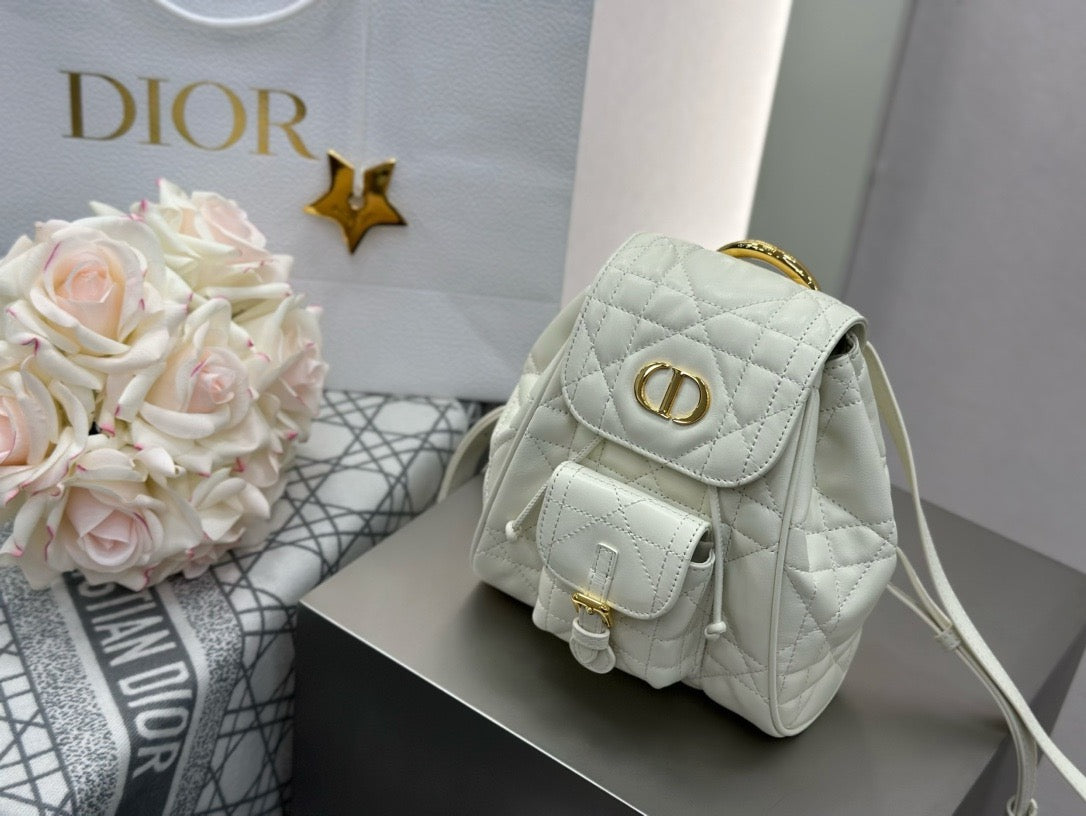 디올 카로 스몰 백팩