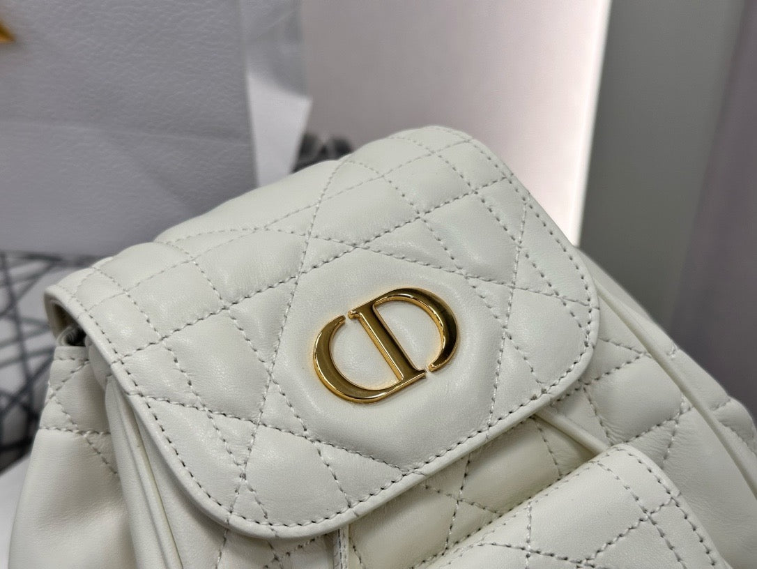 디올 카로 스몰 백팩