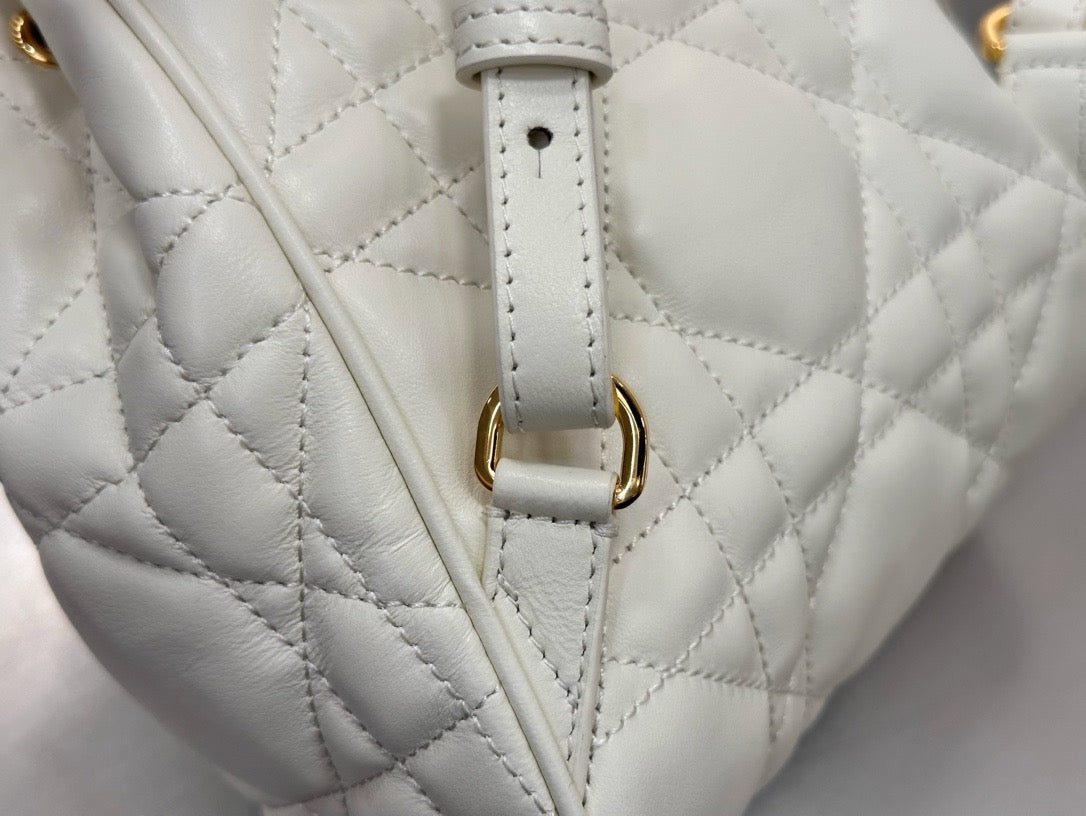 디올 카로 스몰 백팩