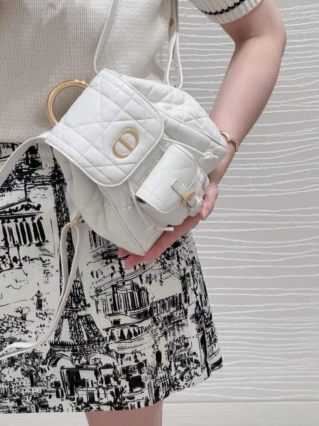 디올 카로 스몰 백팩