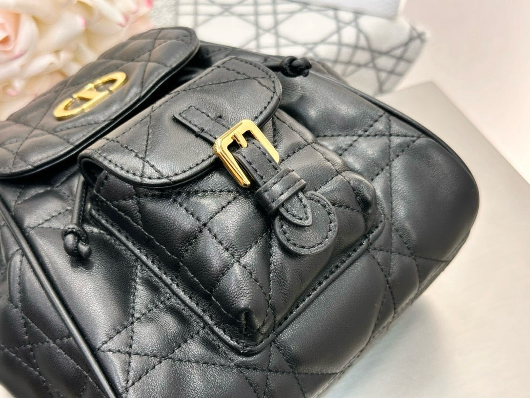 디올 카로 스몰 백팩