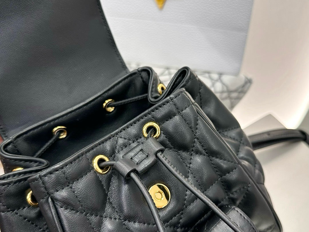 디올 카로 스몰 백팩