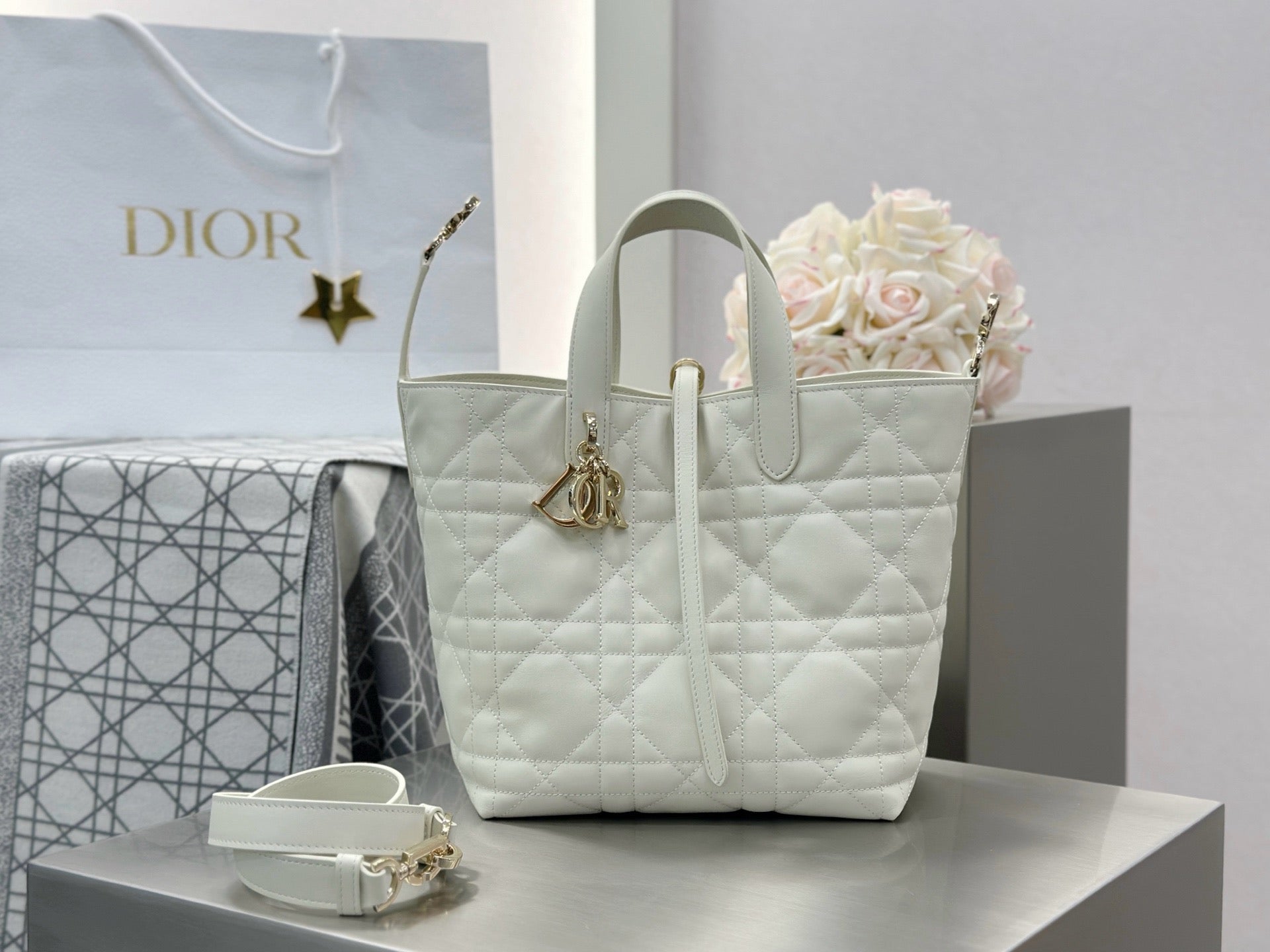 디올 버티컬 뚜주흐백 스몰,미디움