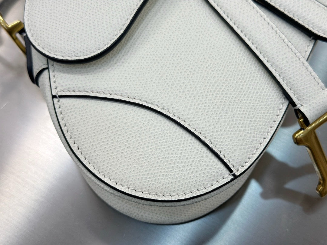 디올 새들 스트랩백 그레인 미니