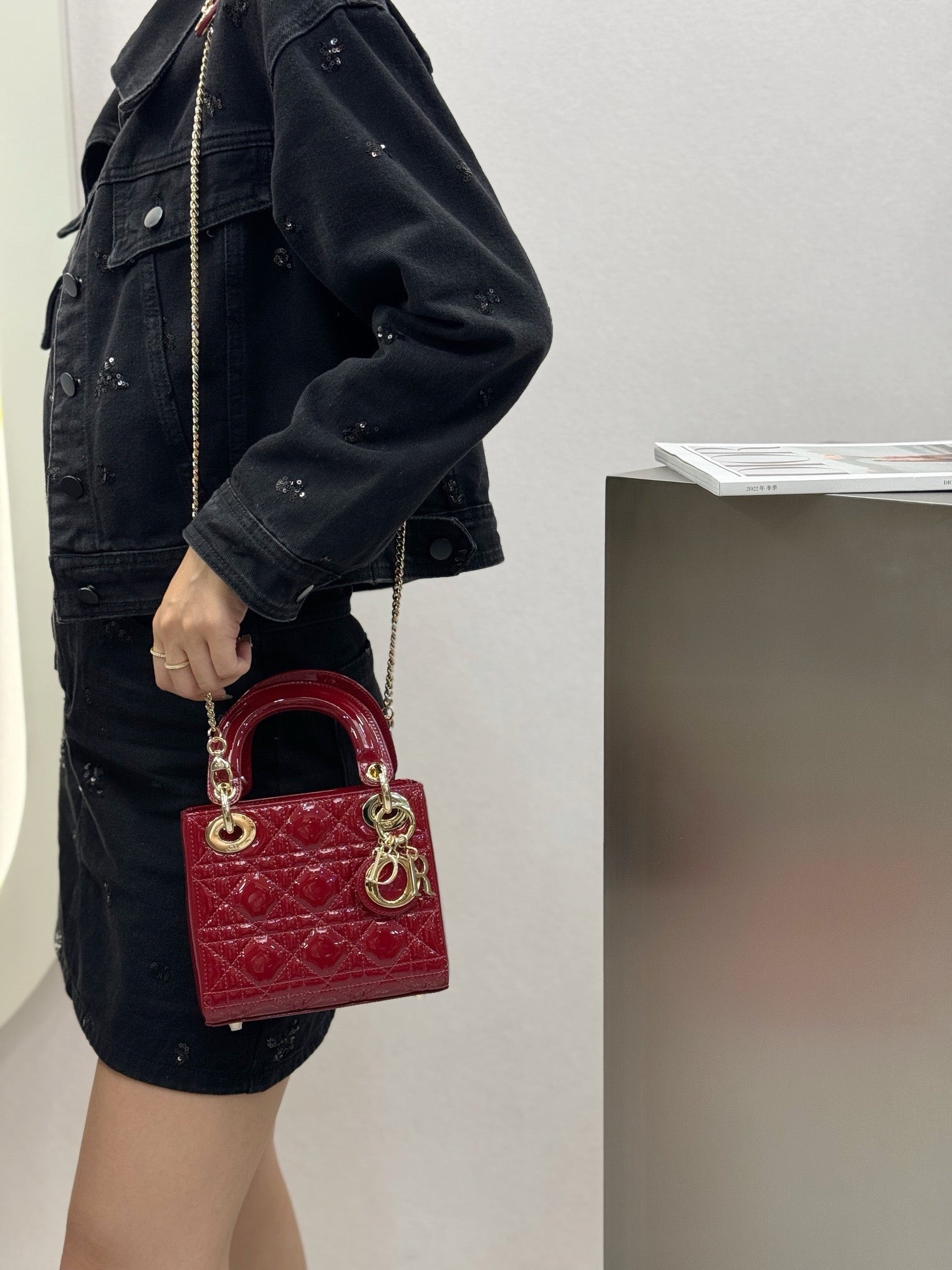 디올 페이던트 레이디백 미니