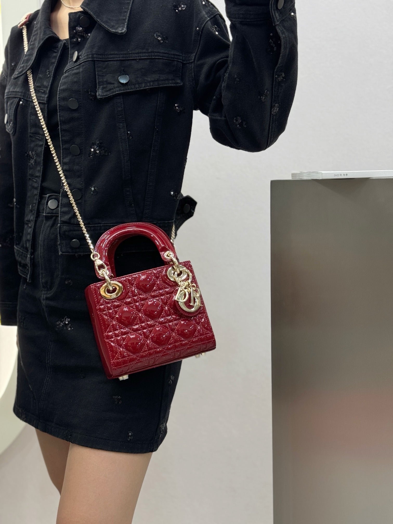 디올 페이던트 레이디백 미니