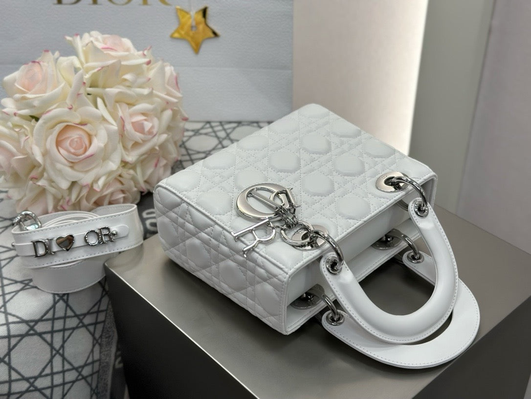디올 레이디백 스몰