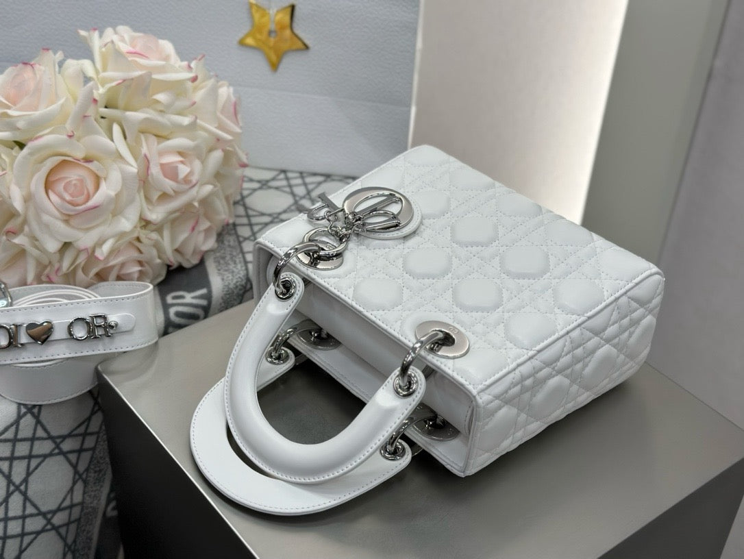 디올 레이디백 스몰