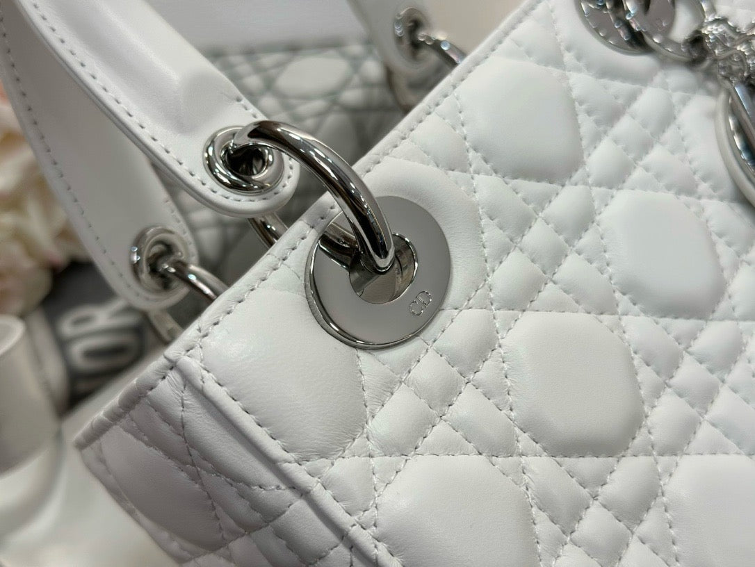 디올 레이디백 스몰