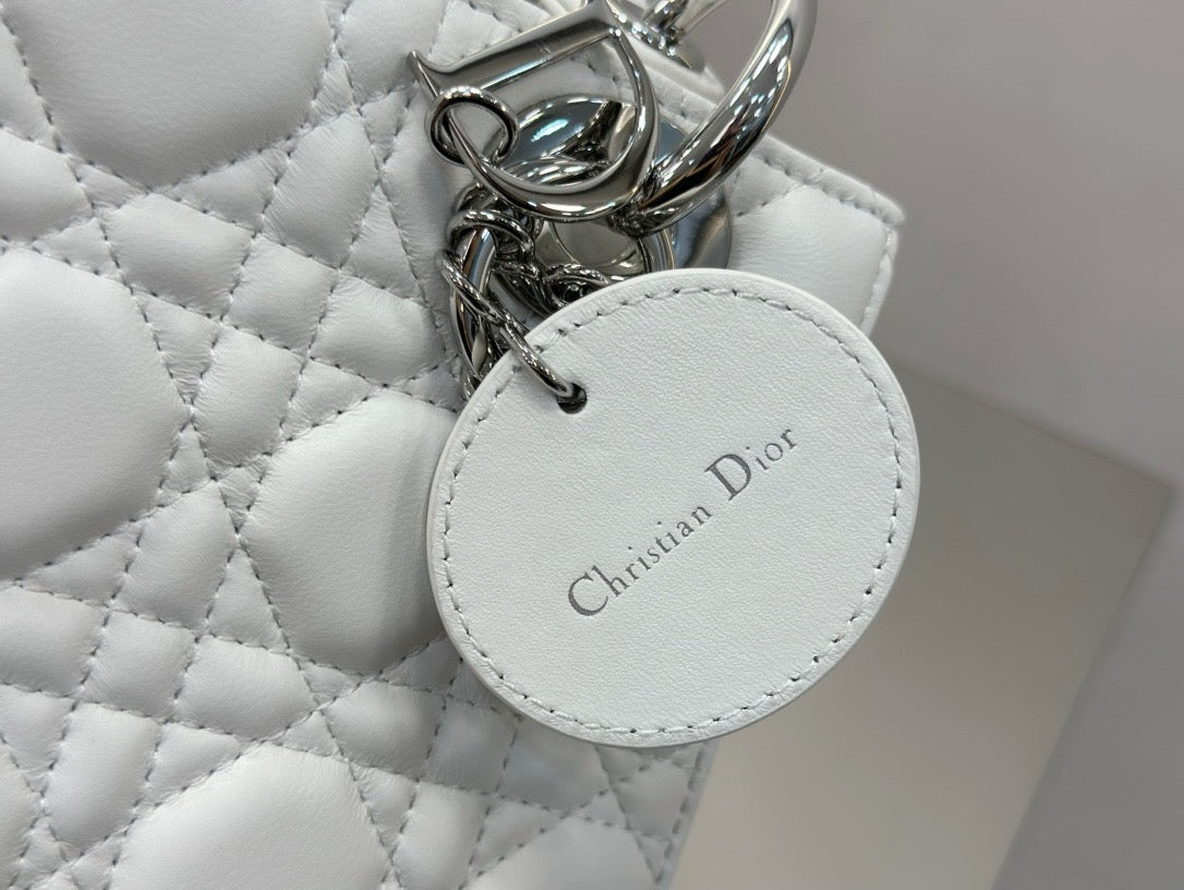 디올 레이디백 스몰