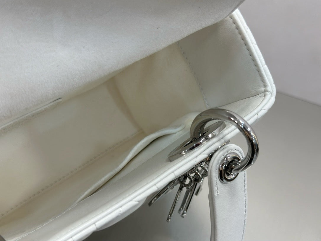 디올 레이디백 스몰