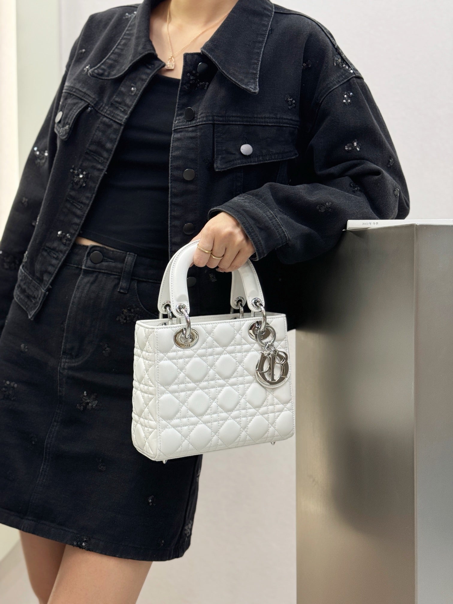 디올 레이디백 스몰