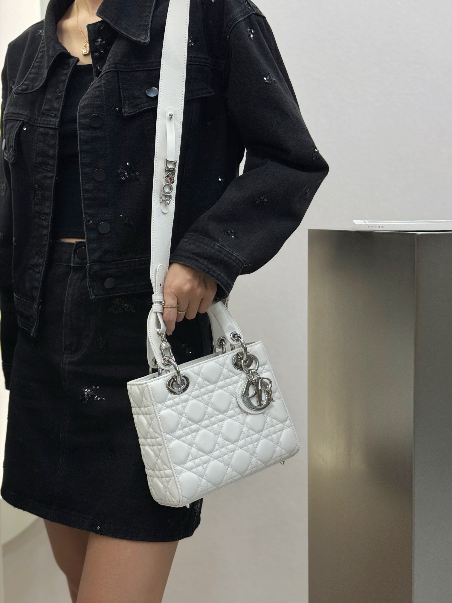 디올 레이디백 스몰