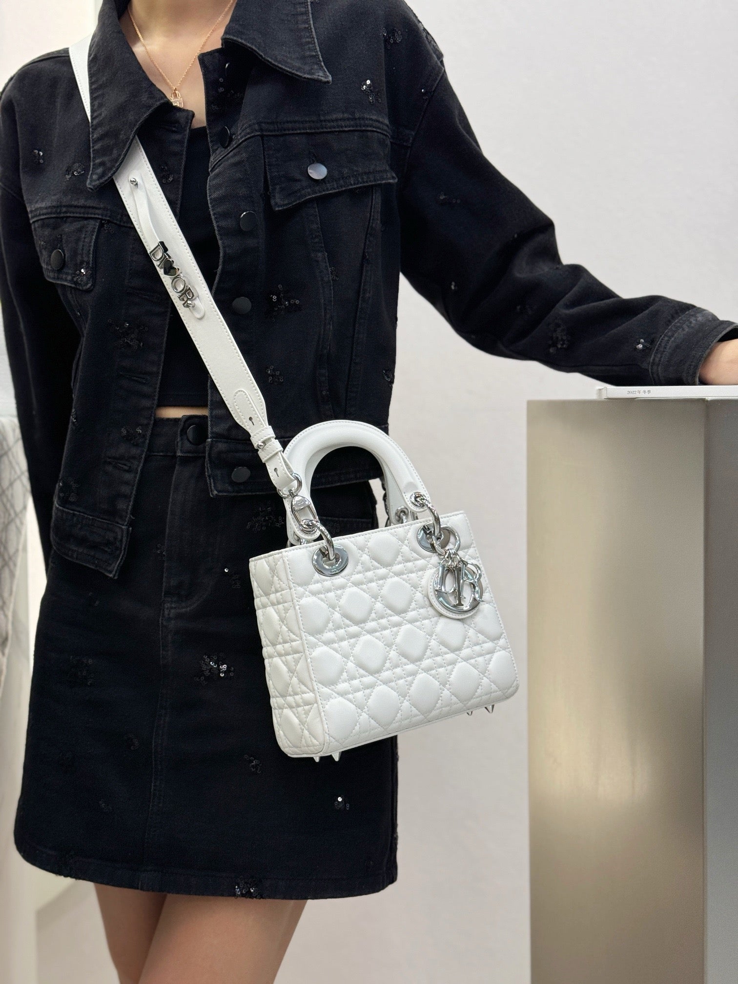 디올 레이디백 스몰