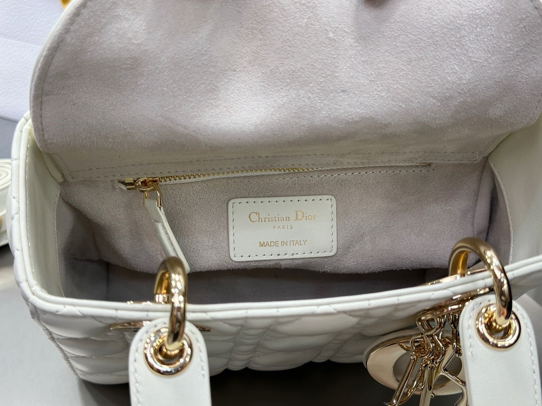 디올 레이디백 스몰