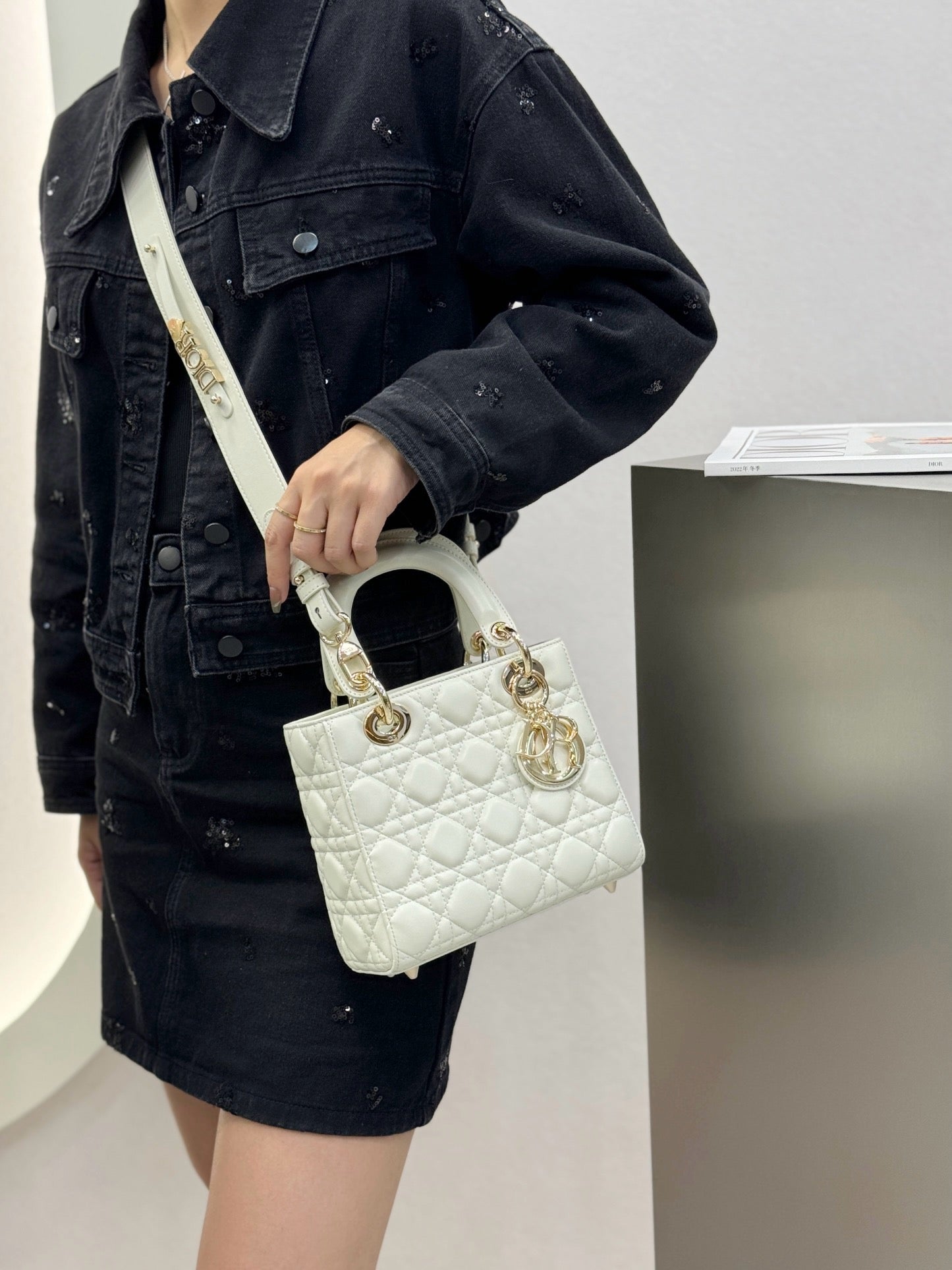 디올 레이디백 스몰