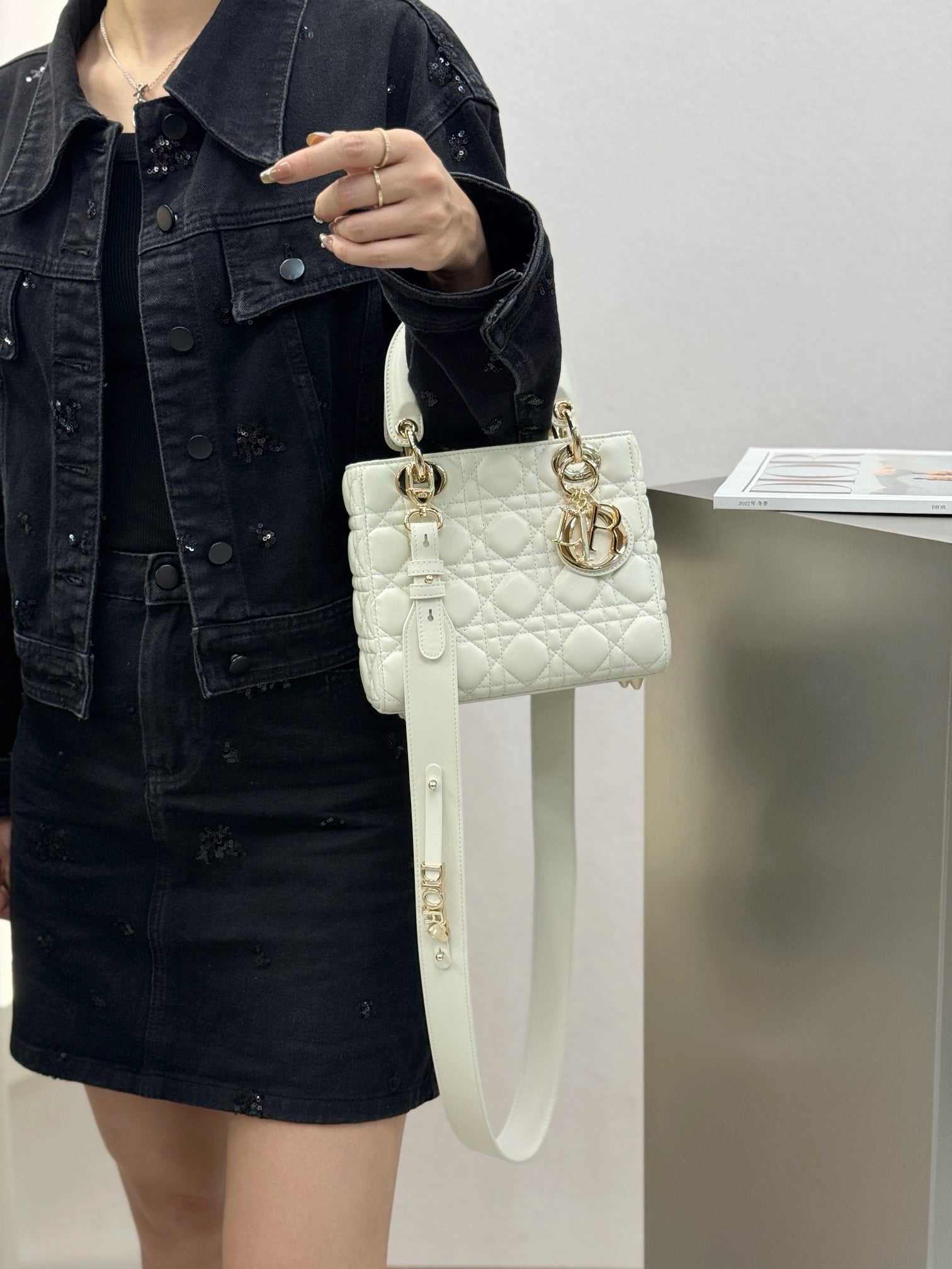 디올 레이디백 스몰