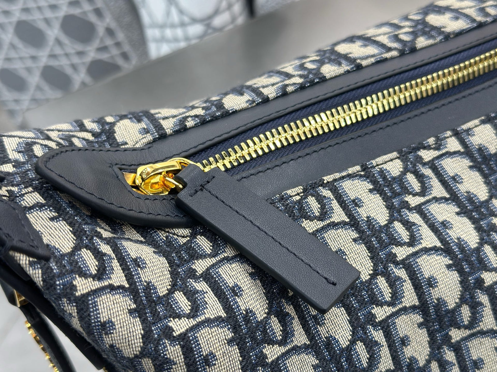 디올 오블리크 디저니백 라지