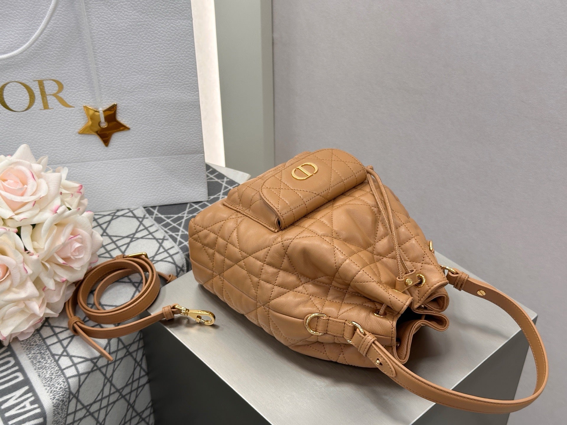 디올 카로 스몰 버킷백