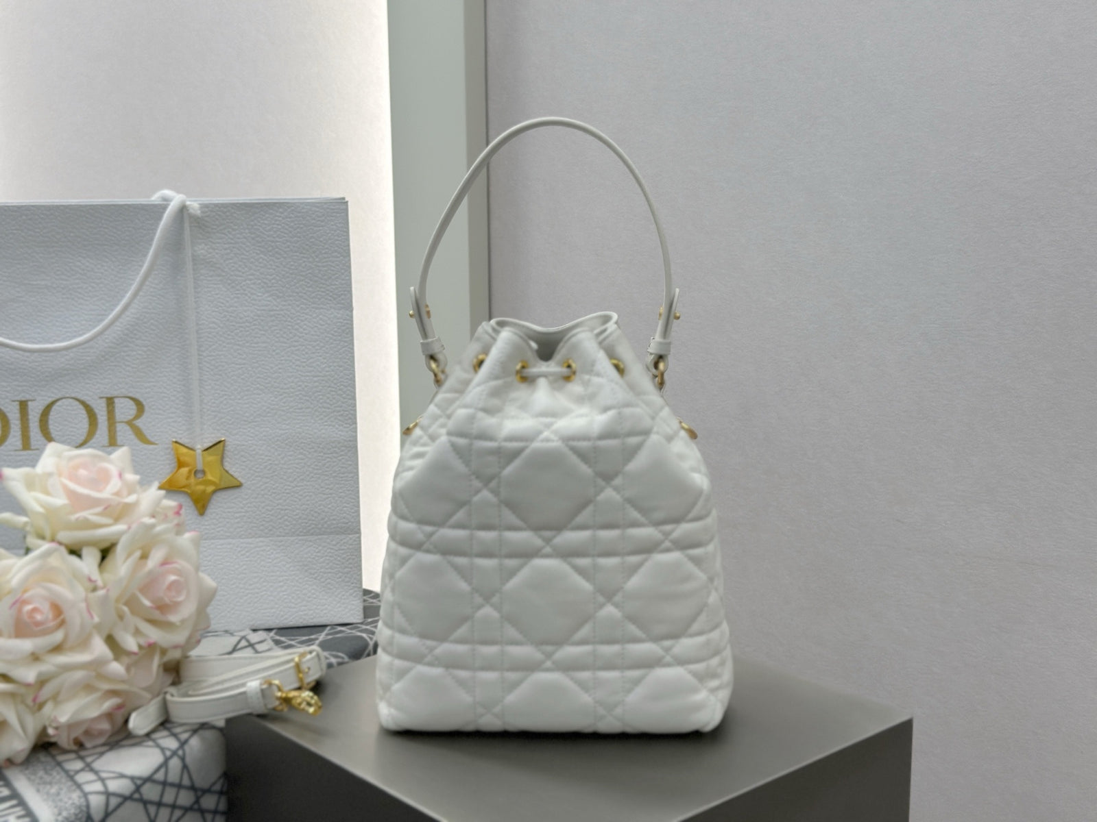 디올 카로 스몰 버킷백