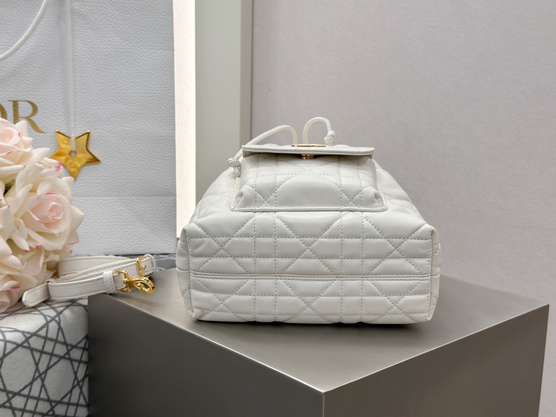 디올 카로 스몰 버킷백