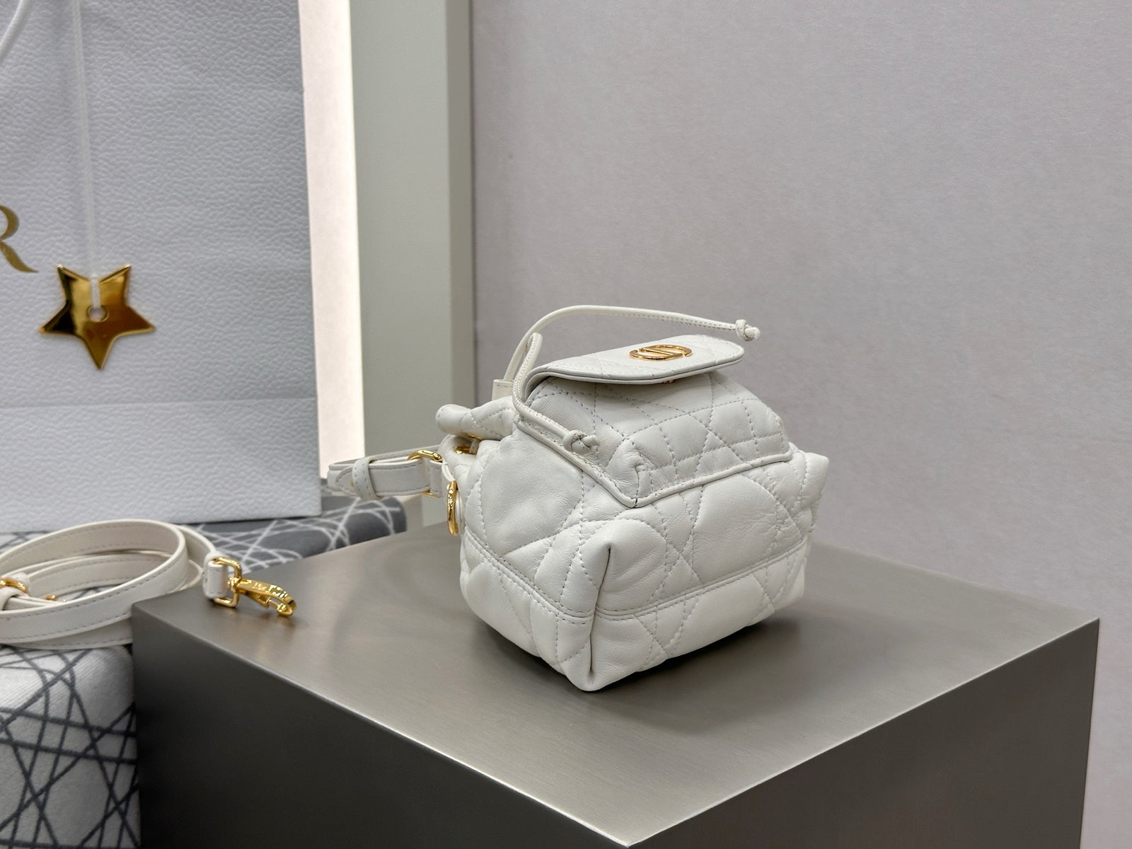 디올 카로 나노 버킷백