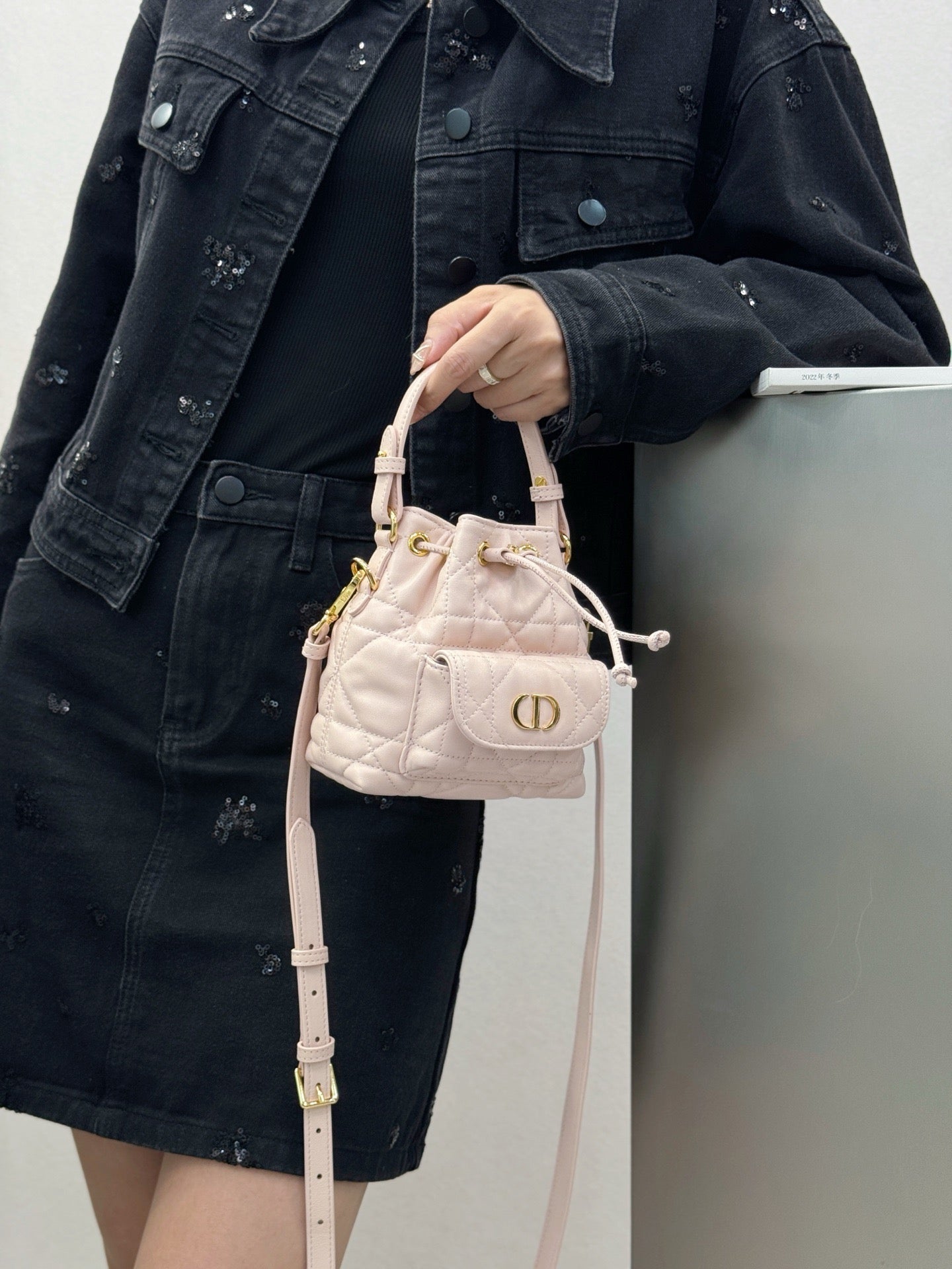 디올 카로 나노 버킷백