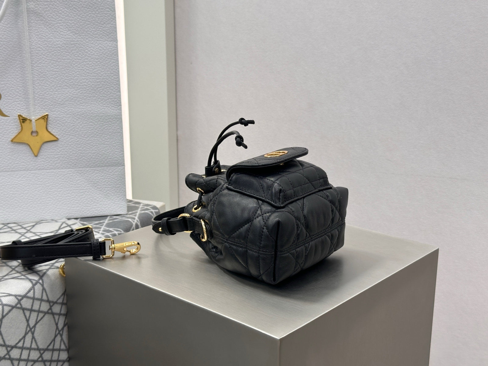 디올 카로 나노 버킷백