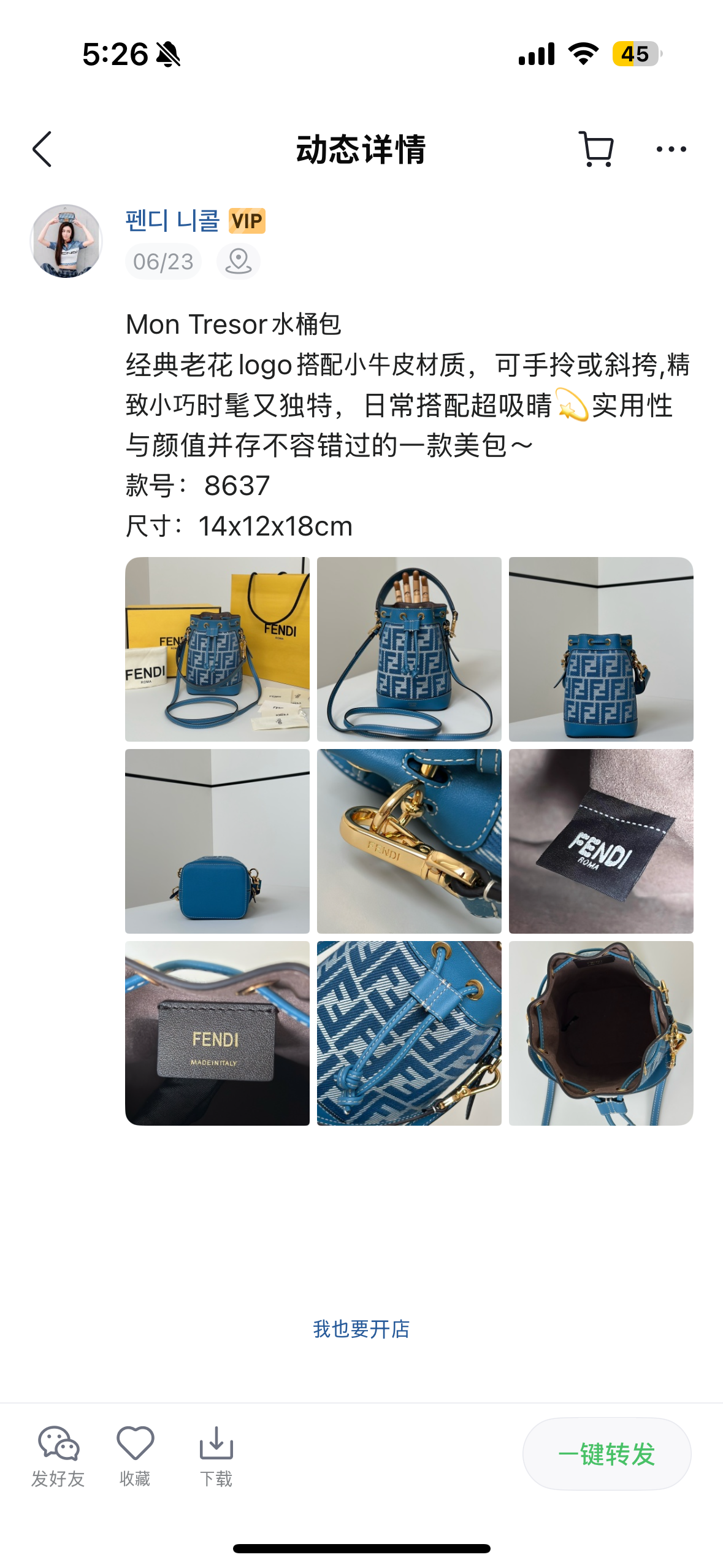 펜디 몬트레조 버킷백