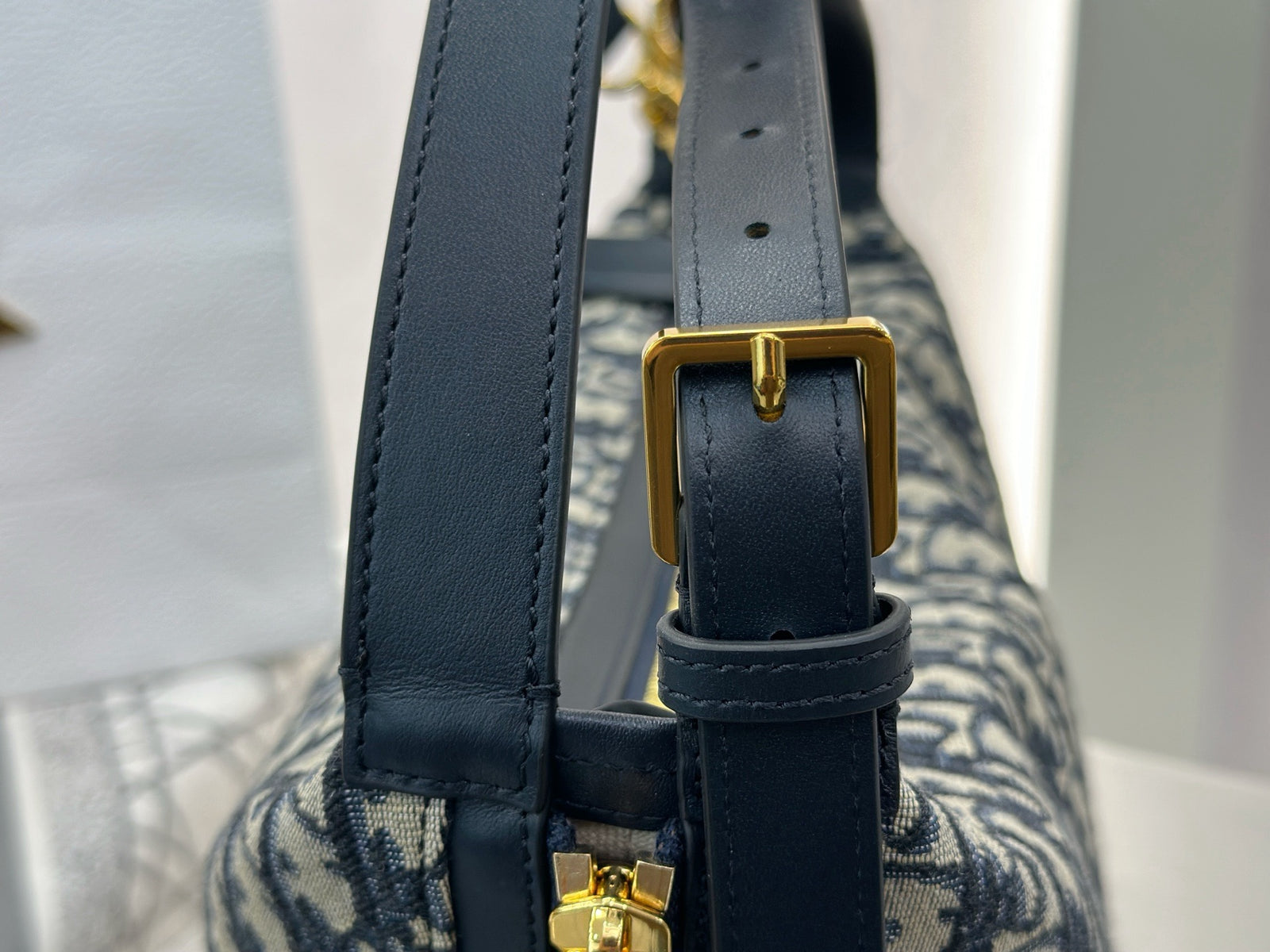 디올 오블리크 디저니백 미디움