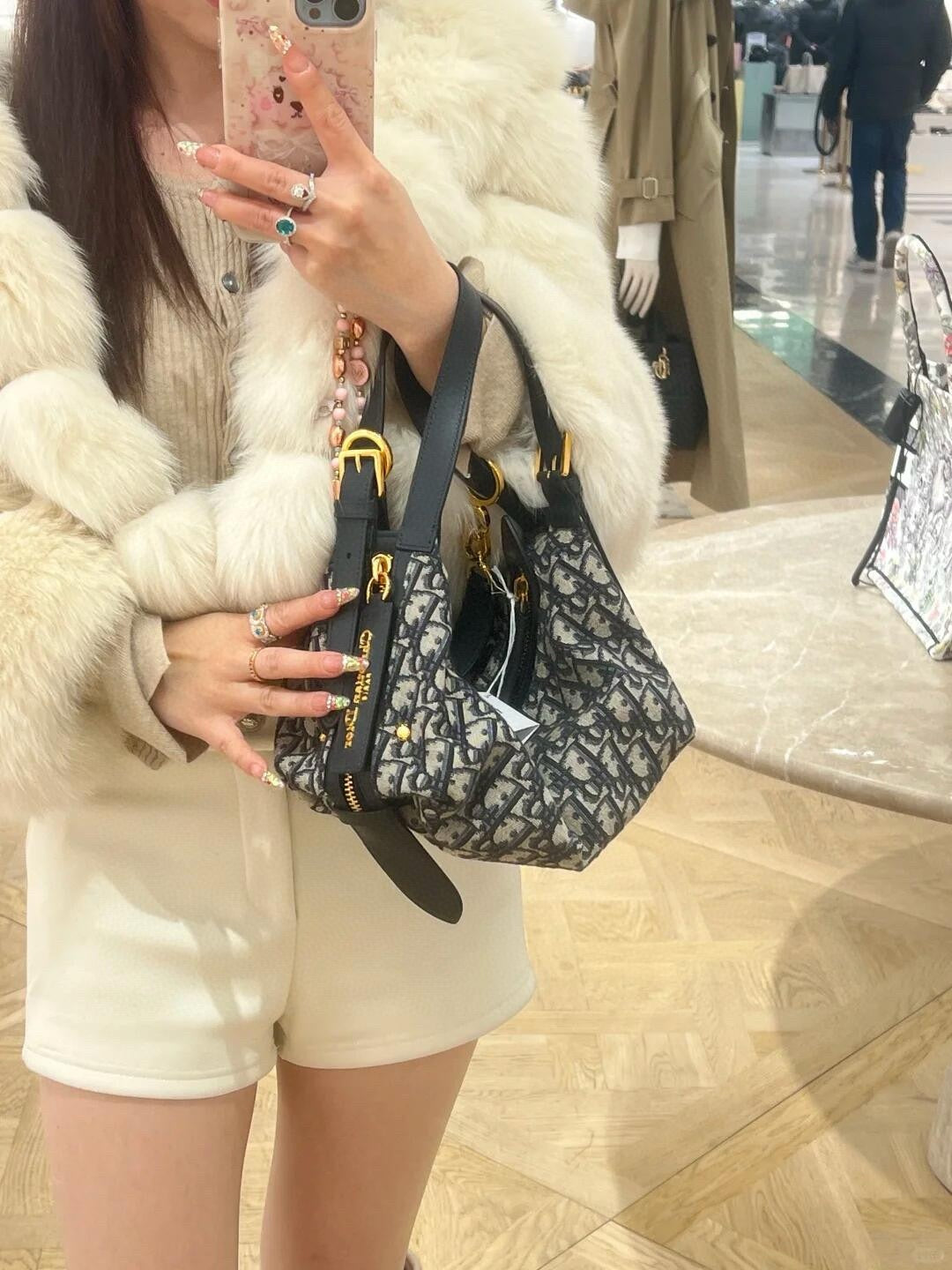 디올 오블리크 디저니백 미디움