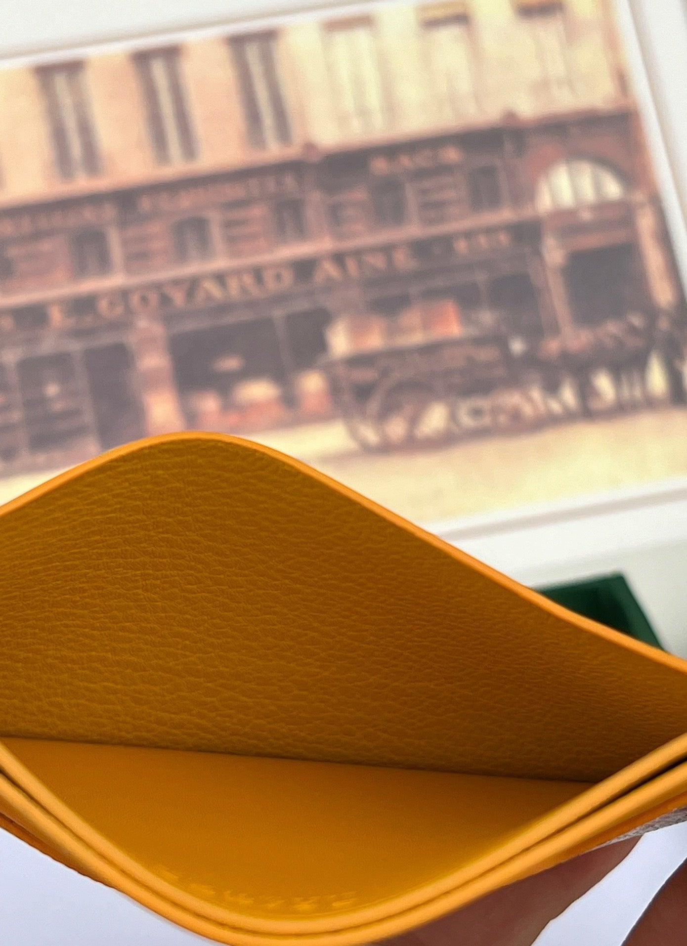 고야드 생쉴피스 (옐로우)