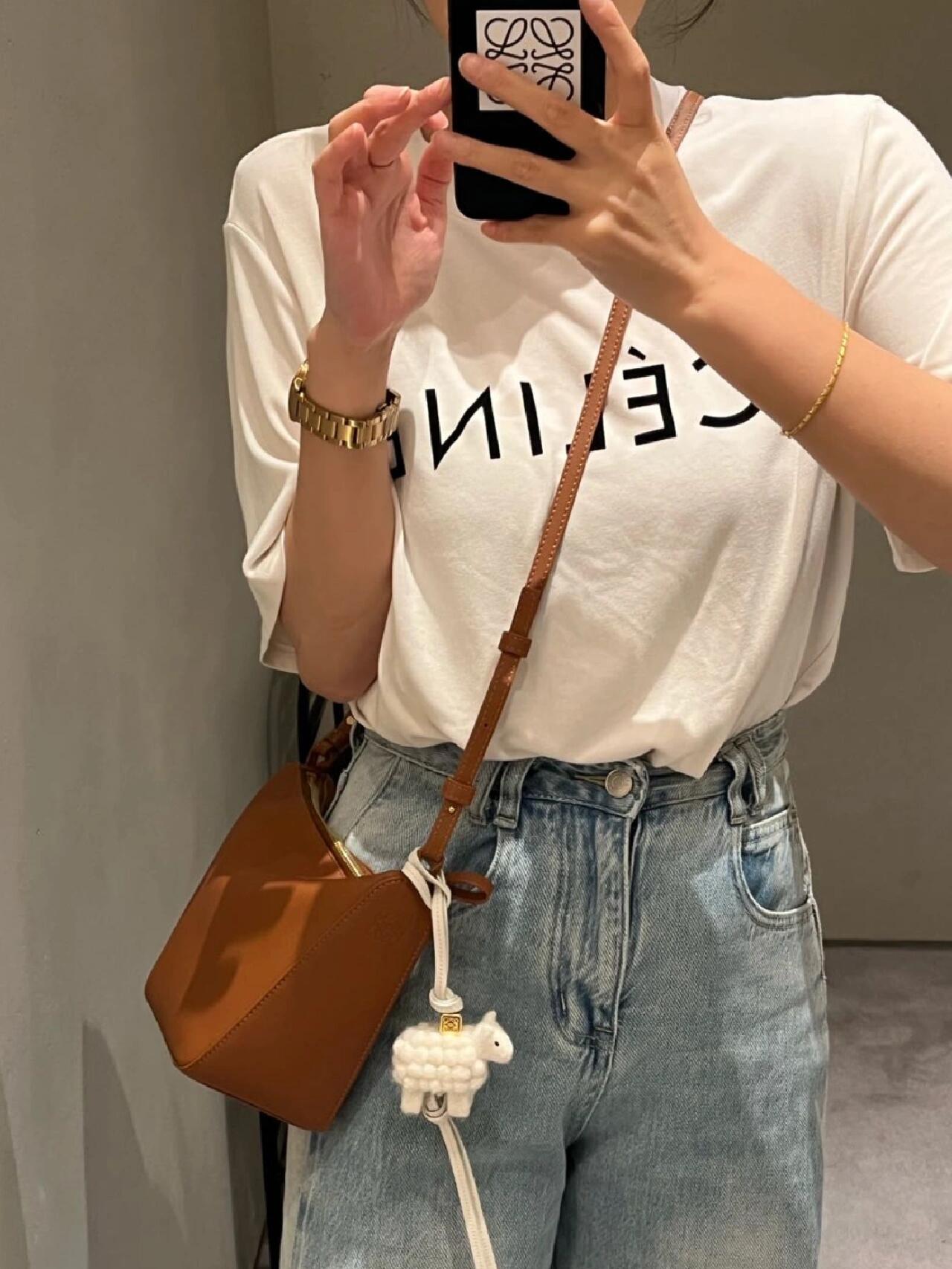 로에베 해먹 호보백 미니