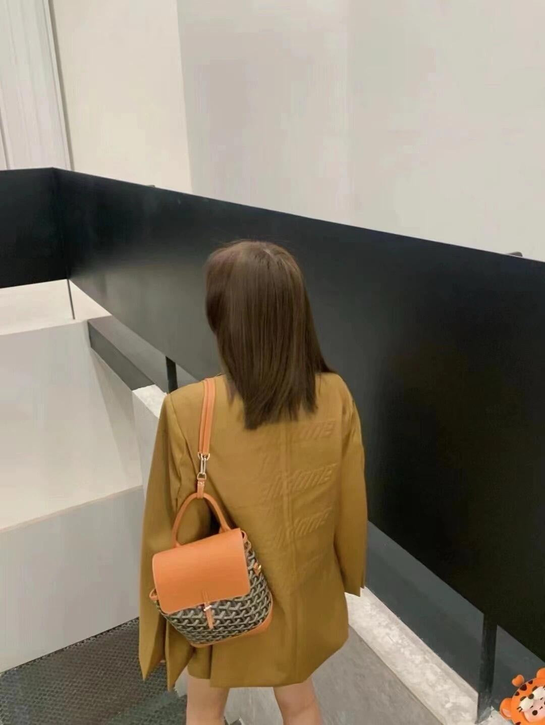 고야드 알팡 백팩 미니