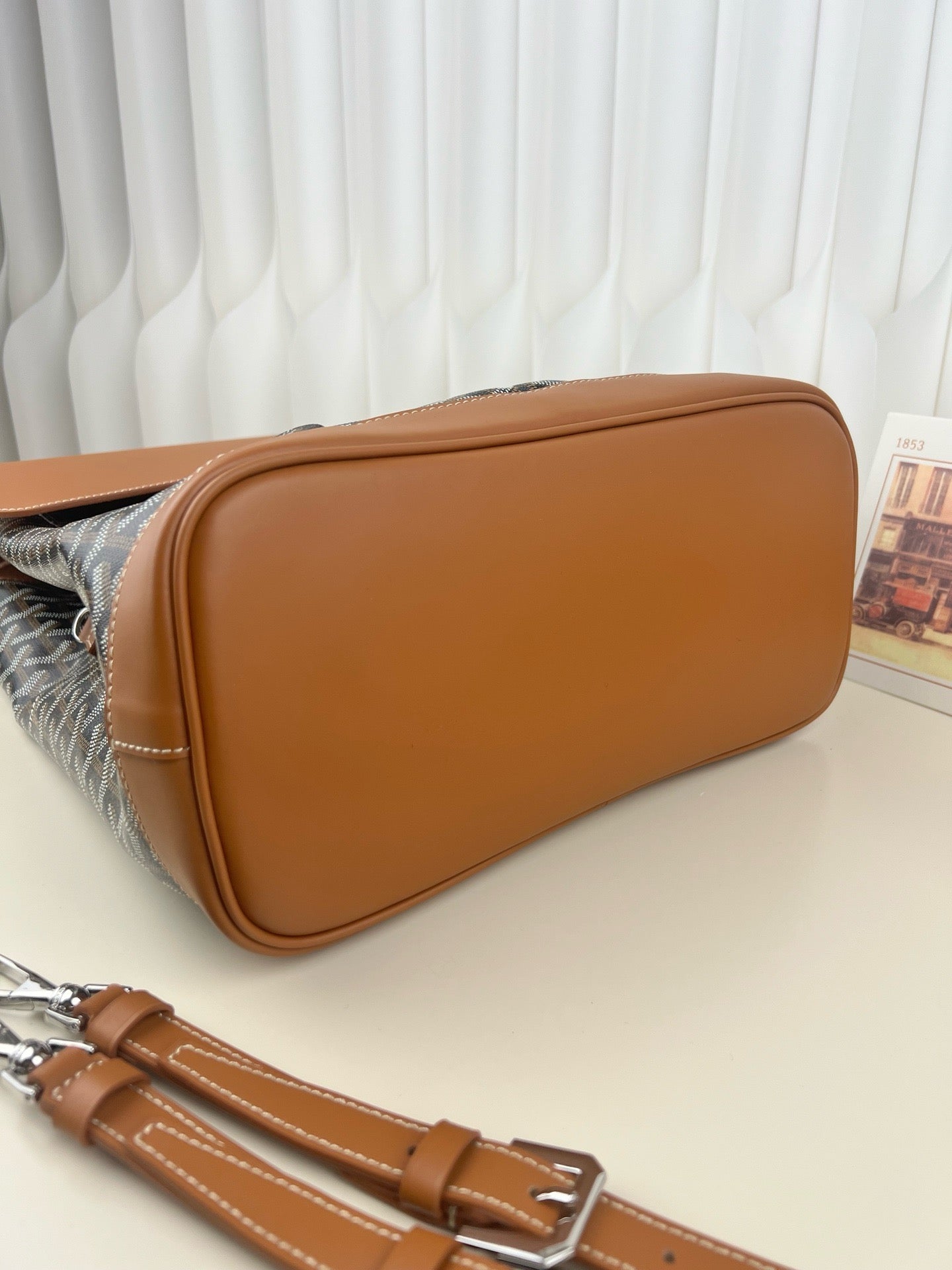 고야드 알팡 백팩