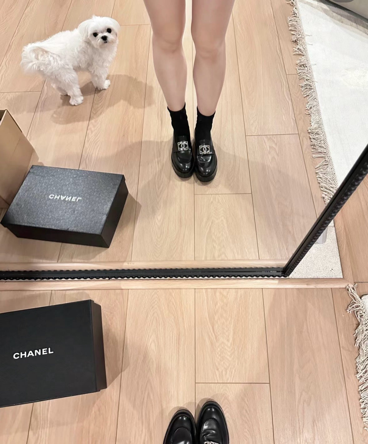 샤넬 23B CC로고 로퍼