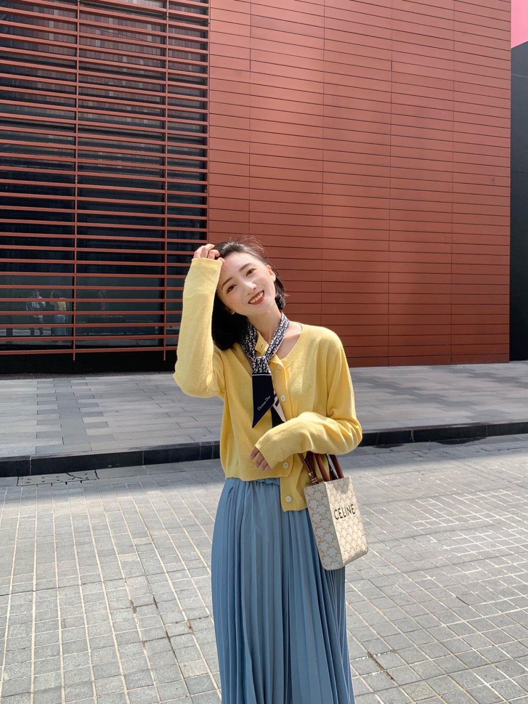 셀린느 미니 버티컬 카바스백 캔버스