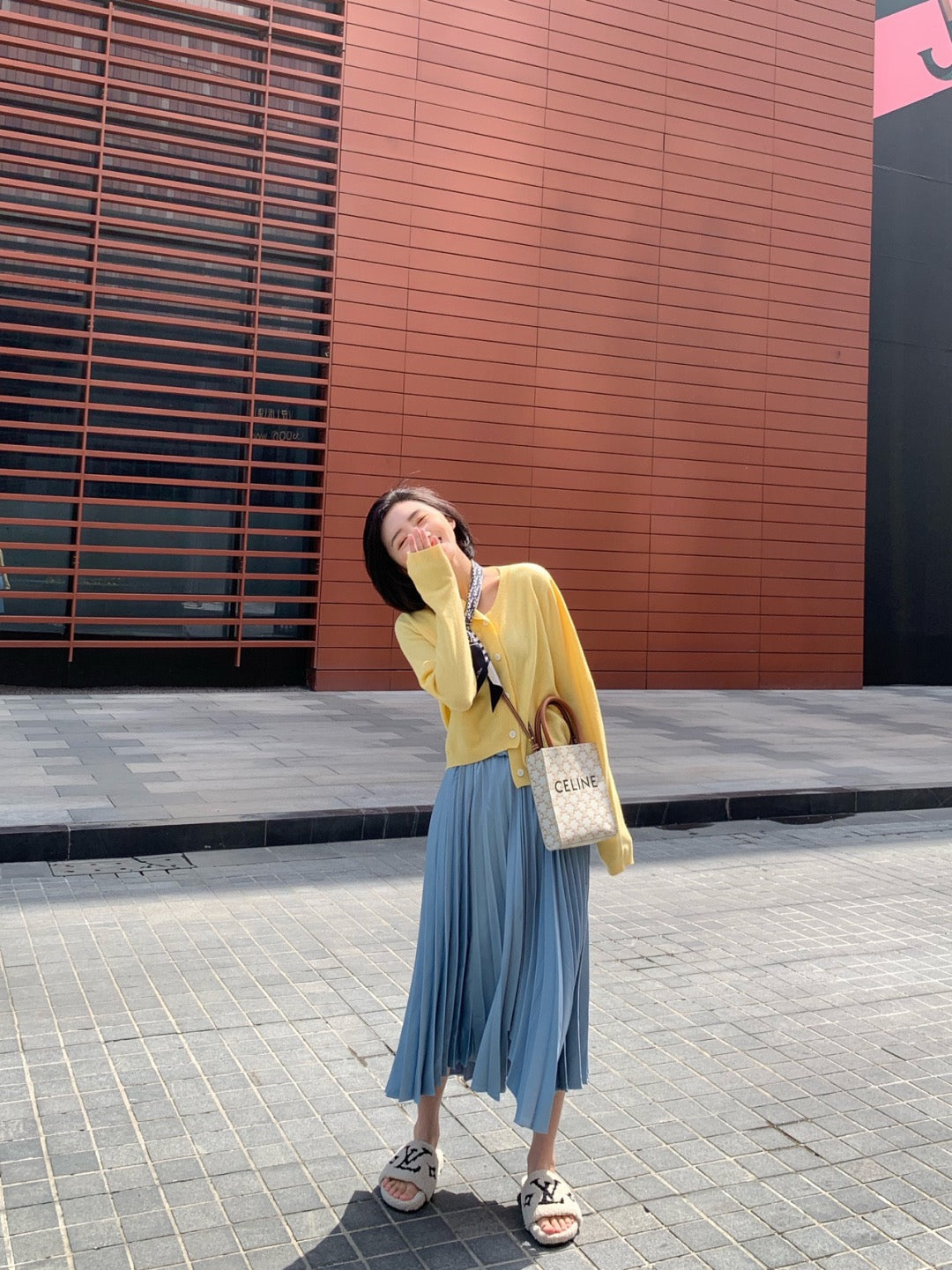 셀린느 미니 버티컬 카바스백 캔버스