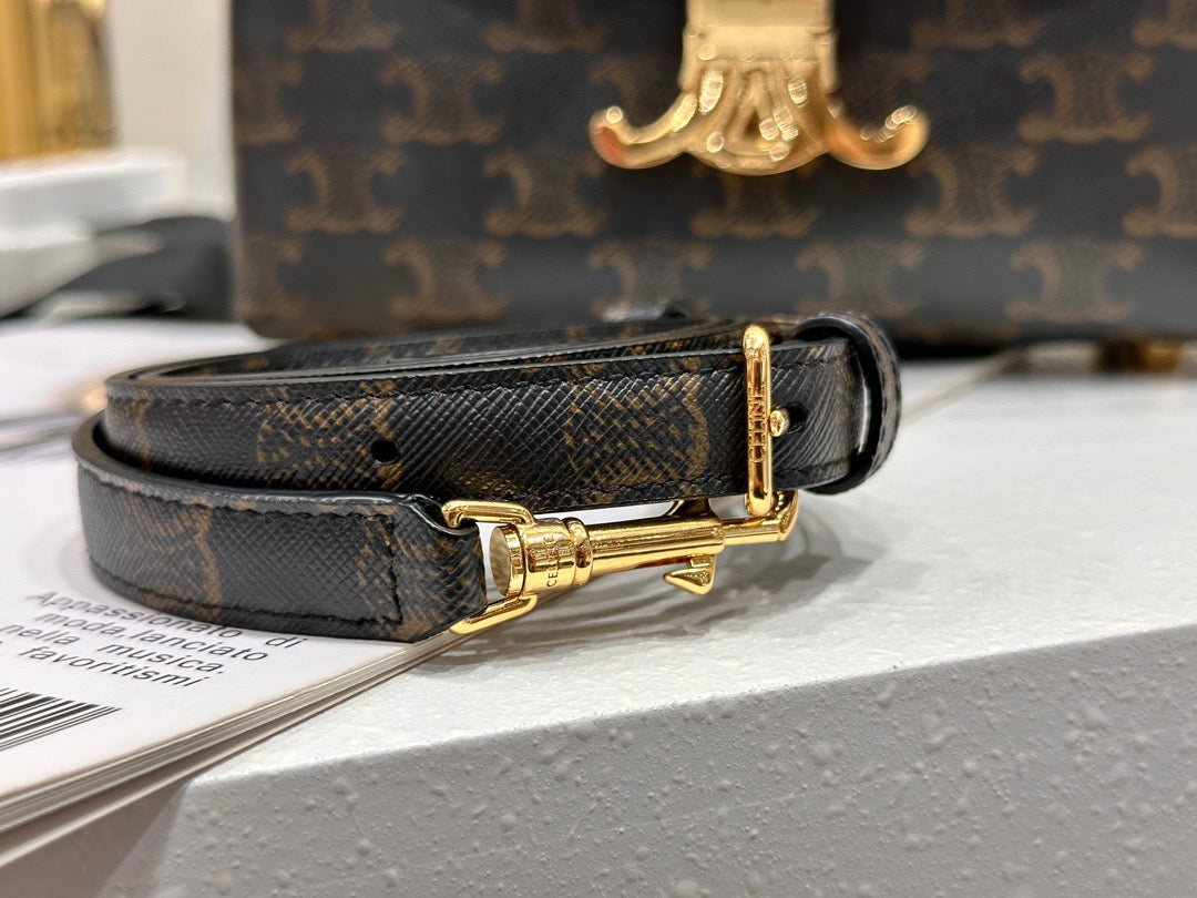 셀린느 틴 니노백 트리옹프 캔버스