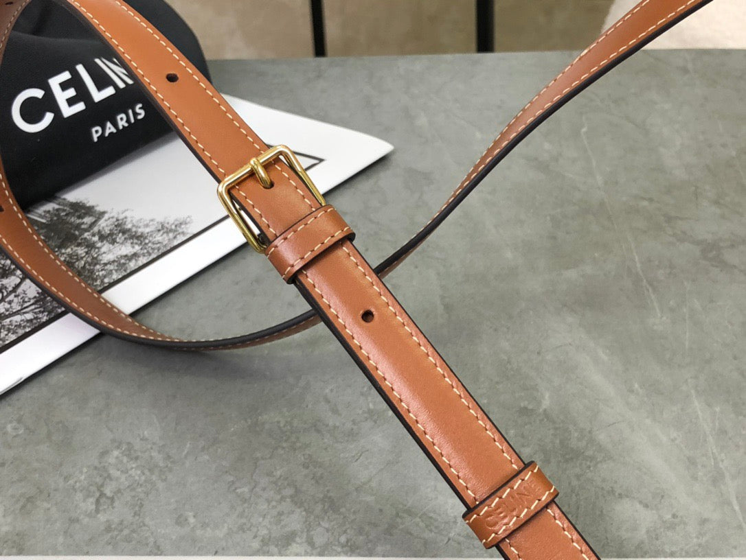 셀린느 트리옹프 숄더백 캔버스 틴