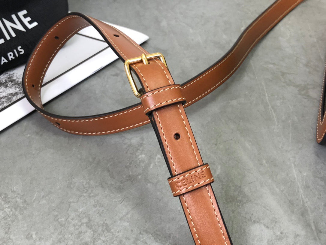 셀린느 트리옹프 숄더백 캔버스 틴